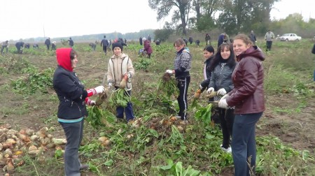 Позаурочне заняття